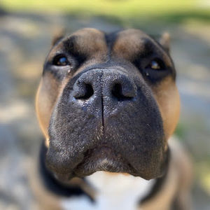 Meet your Posher, Shannon